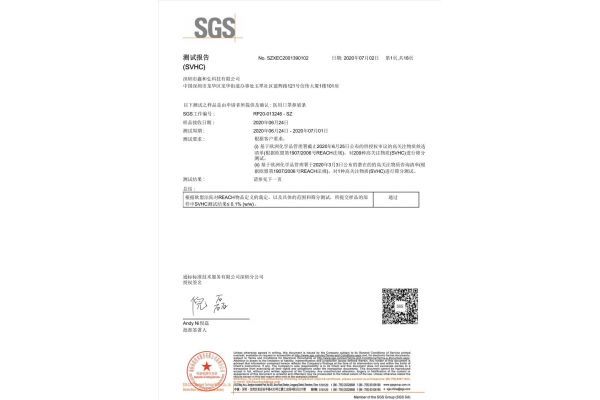 比挺-SGS-REACH檢測(cè)-中文報(bào)告